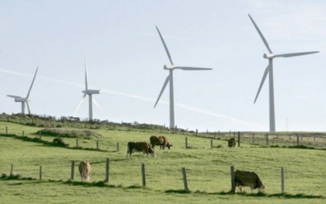România în topul pieţelor atractive pentru investiţii eoliene